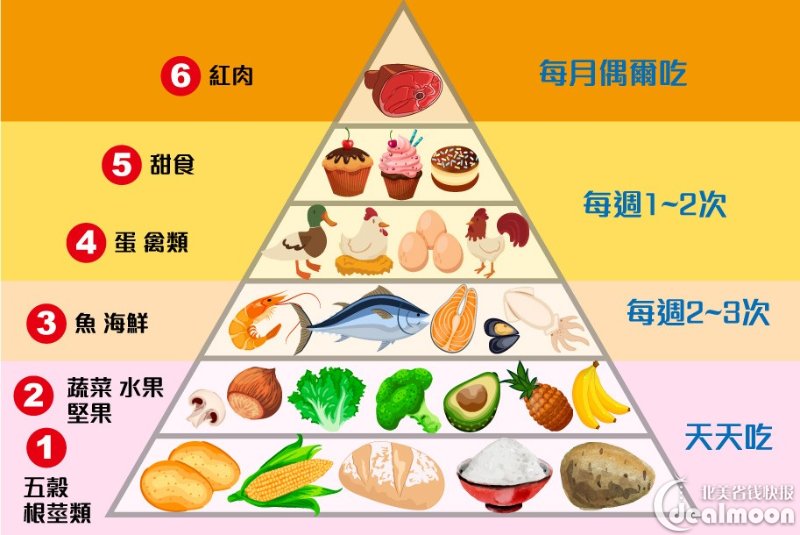 「健康饮食金字塔」共分为四层,每层包括了不同种类的食物和建议