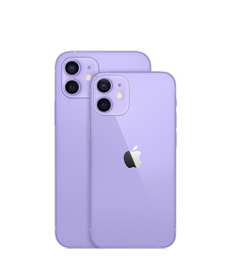 iPhone 12 and iPhone 12 mini 紫色