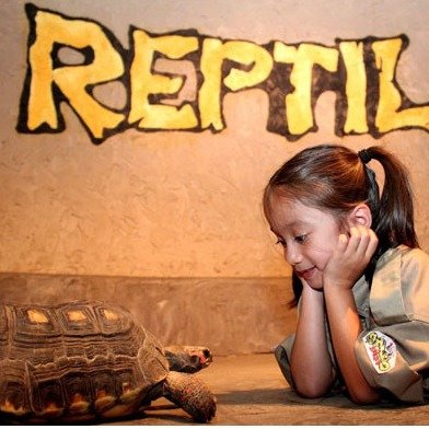 Reptilia 爬行动物馆儿童票