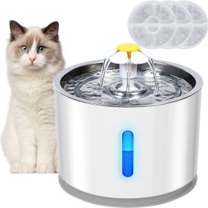Petiigo 猫咪自动饮水机｜不锈钢材质 超静音 让猫咪爱上合适
