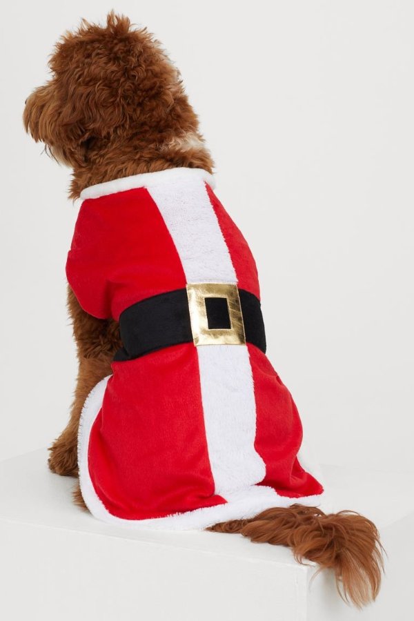狗狗圣诞衣