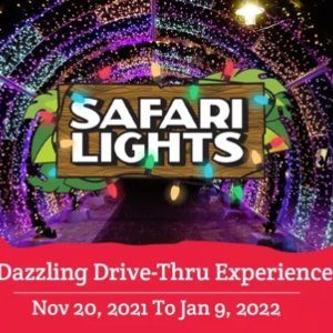 7.5折 $29.95(指导价$39.95)Safari Niagara圣诞Drive-Thru灯光秀 冬季不仅只有轮胎店的Christmas Trail