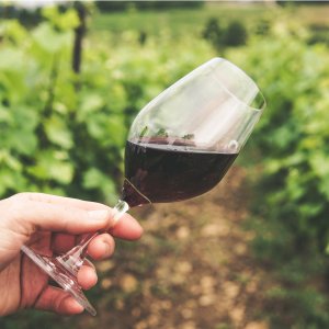 回国送礼：法国红酒推荐 - 波尔多、勃艮第、罗纳河谷葡萄酒等