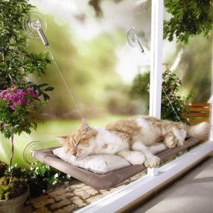 史低价：Oster Professional 猫咪玻璃吊床