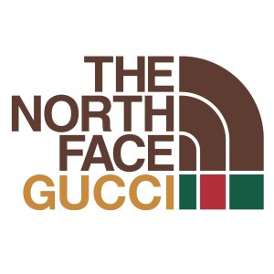 GUCCI x The North Face 猫咪LogoT恤$850 同款卫衣$1600