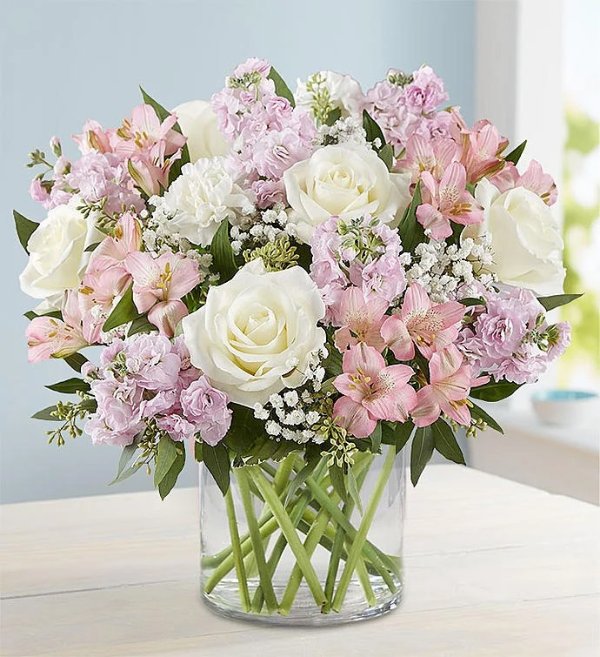 白玫瑰+康乃馨等 带花瓶