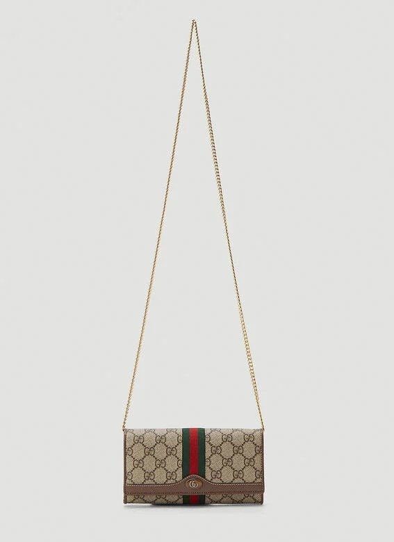 ln-cc  分钟前  gucci ophidia 链条包 官网$890 税 $890.