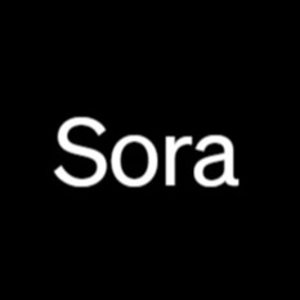 OpenAI 新王炸 —— Sora AI视频生成软件