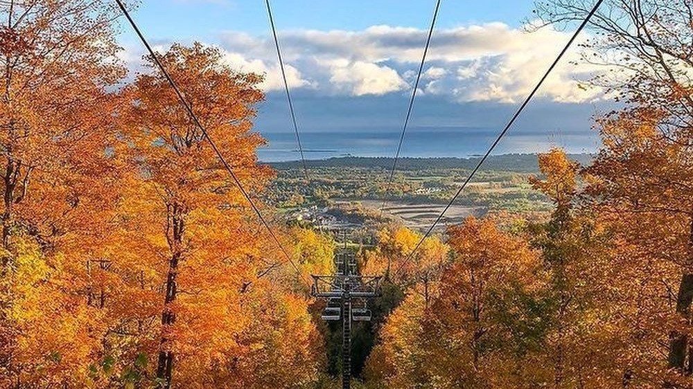 美哭了！360°无死角欣赏秋景，蓝山高空缆车必打卡！