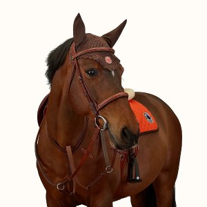 Hermes做最时尚的马仔马匹专用帽子