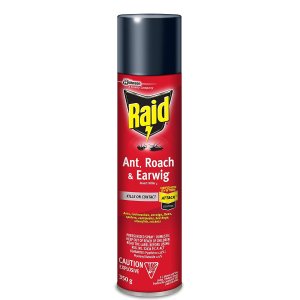 Raid 室内蟑螂蚂蚁消杀喷雾350g 无化学气味残留