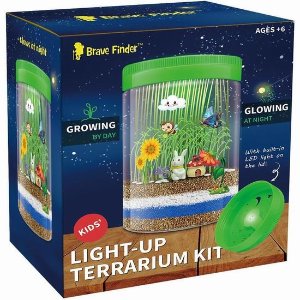 Brave Finder 寓教于乐 儿童发光迷你花园 观察小草生长全过程
