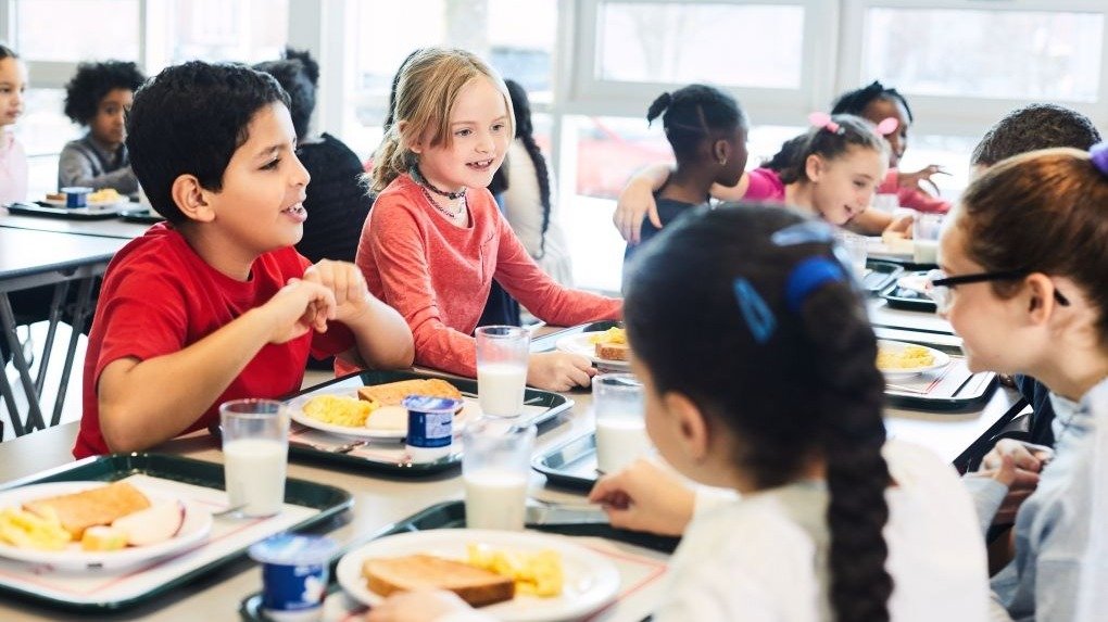 安大略省教师工会呼吁为学生提供免费的学校早餐和午餐！你支持吗？