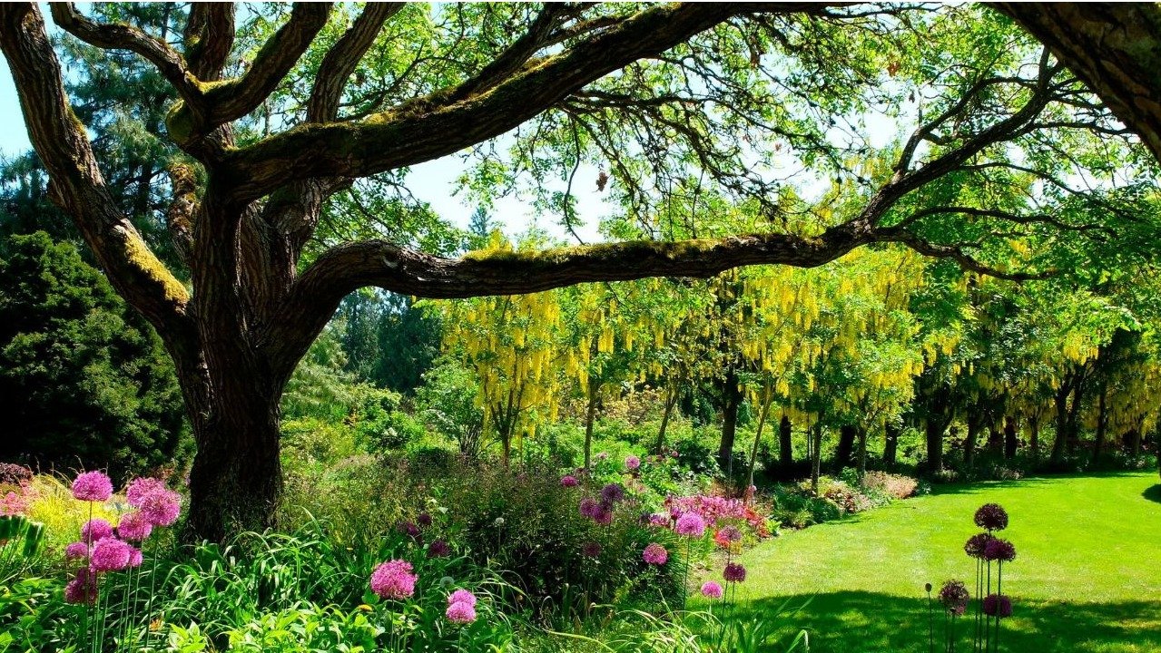 温哥华TOP10花园推荐 - 维多利亚，Butchart ，HATLEY，中山公园，QUEEN ELIZABETH等
