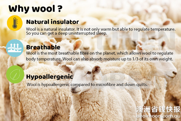 畅销单品：100% 澳洲产羊毛被  500/700GSM  多尺寸可选 - 1