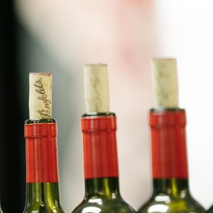 Penfolds 奔富Bin169赤霞珠2009干红葡萄酒限时特价