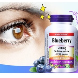 Webber Naturals 36:1 高浓缩天然蓝莓浓缩护眼胶囊