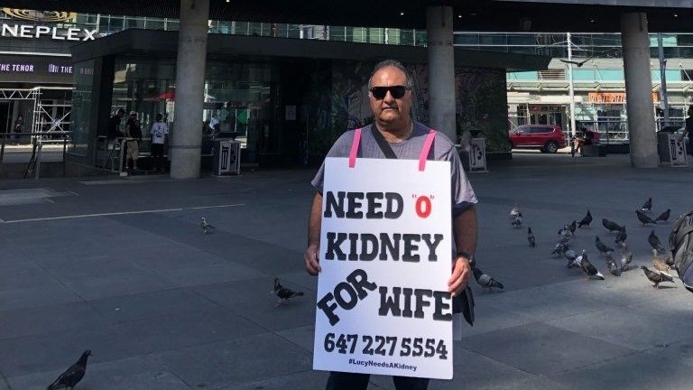 感人！男子举着“妻子需要肾脏”的牌子走在多伦多街头，为爱妻寻找捐赠者！