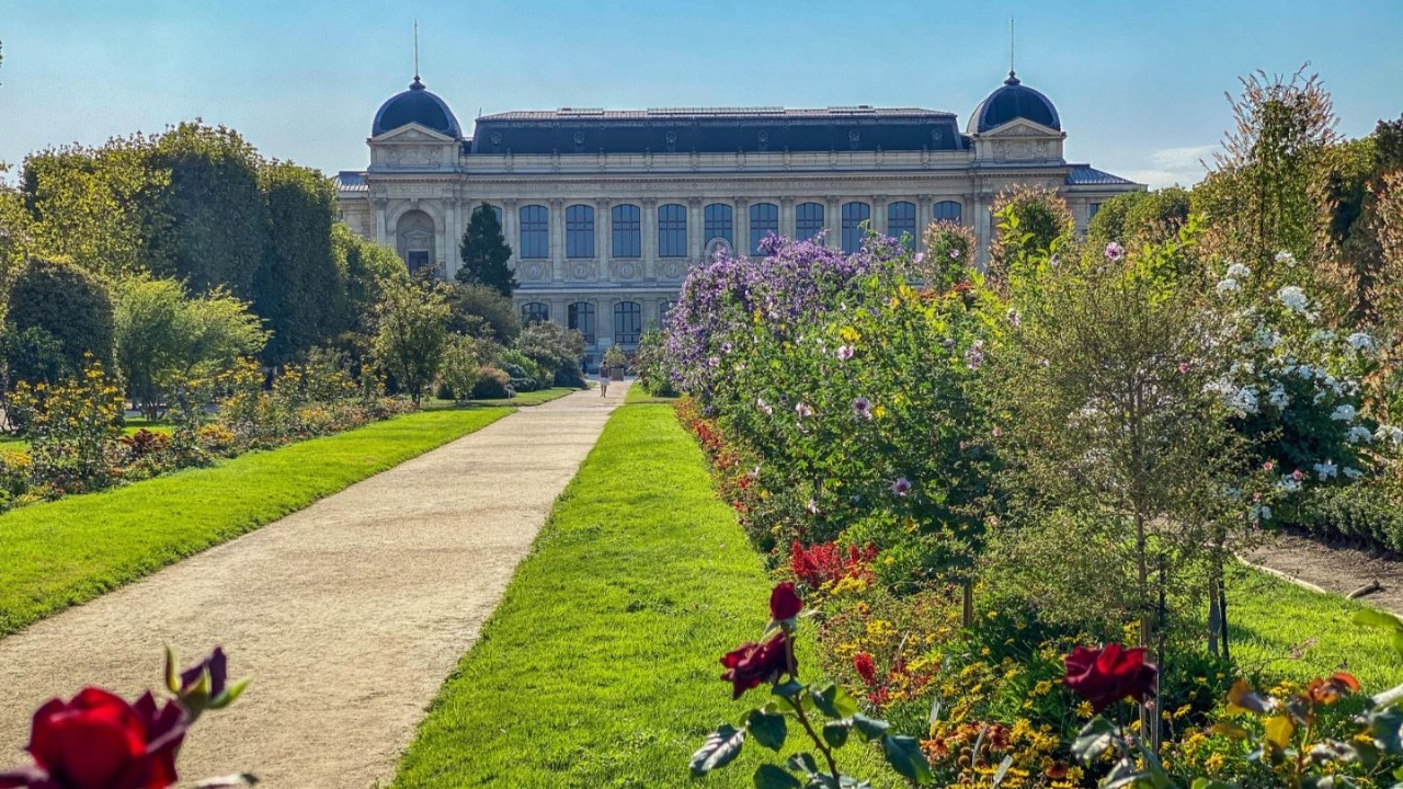 巴黎植物园游览全攻略(Jardin des Plantes):法式花园、植物学学院、玫瑰园等