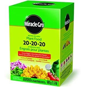 Miracle-Gro 水溶性植物复合肥料 20-20-20 三月要开始准备啦