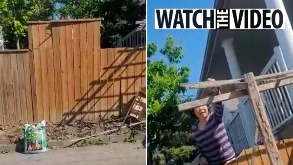 丢人！多伦多华人夫妇持电锯私拆共用栅栏，面对劝阻大喊“你去报警”！