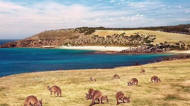 2023年澳大利亚十大最佳海滩 - 各地排名、海滩简介