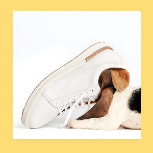 Hush Puppies官网 季末鞋履大促 收舒适凉鞋
