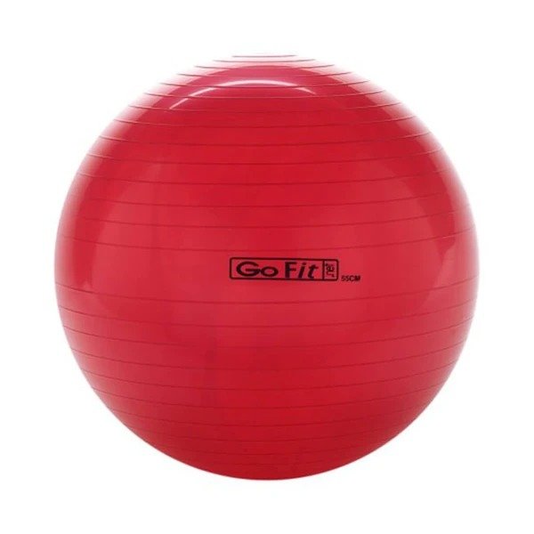 GOFIT 55CM 健身球