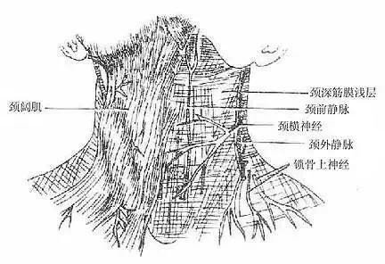 消除颈纹大作战 | 看完周韵无颈纹的脖子,我觉得自己是个50岁的90后