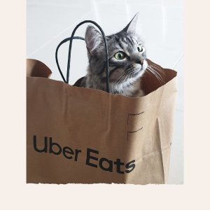 UberEats 新一轮delivery fees开送 为期1月