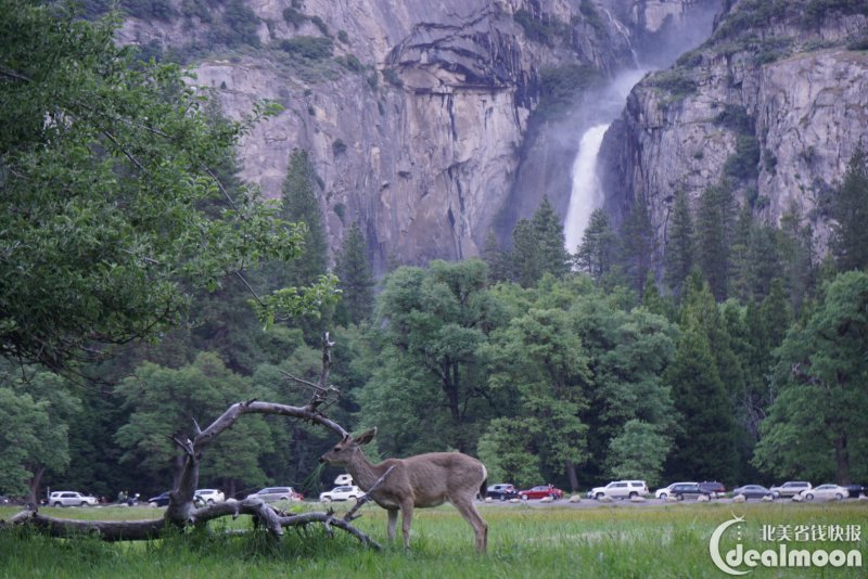 yosemite valley