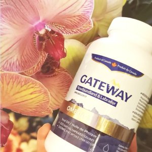 父亲节礼物：Gateway 超珍贵的Omega-3 营养给超爱的人