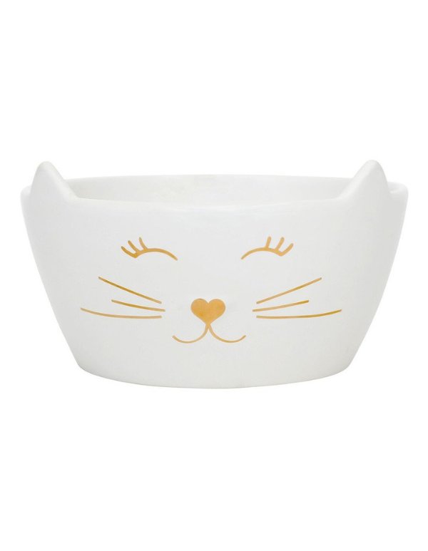猫咪进食碗