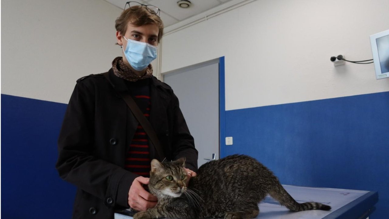 在法国给猫打个疫苗就花了100欧？！