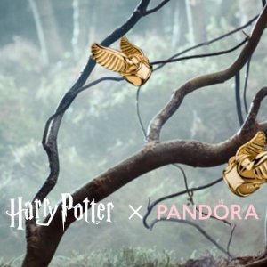 Harry Potter x Pandora 联名 翅膀钥匙坠$100、霍格沃茨珠$50