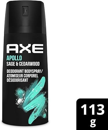 Axe 身体除味喷雾剂 雪松木香型113g