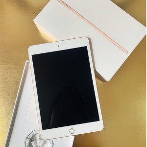 Apple iPad Mini 5 可用手写笔 来画电子手帐