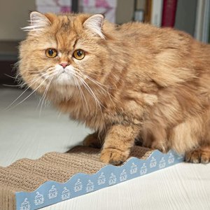 猫抓板三件套 挽救沙发、桌子等家具于水火 让猫猫保持好心情