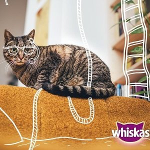 Whiskas 伟嘉猫咪食品 零食、猫粮各种口味 满汉全席