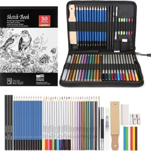 Amazon春季大促🌸：AGPTEK 53件素描铅笔套装 画画爱好者喜爱
