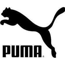 puma women"s essential logo hoodie