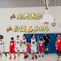 17 Basketball Club平日篮球课4-6月