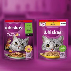 铲屎官看过来~美味猫粮免费拿 2种口味全部薅走！
