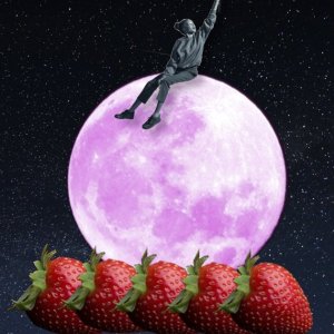 本周日凌晨将达到顶峰！草莓超级月亮来啦 记得抬头仰望天空 看超大、超圆的粉红月亮