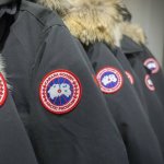 Canada Goose