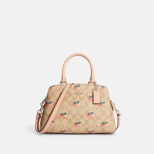 草莓印花标志性帆布迷你 Lillie 手提包