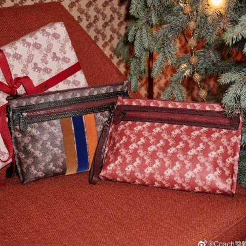 Charlie 马车老花手包