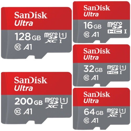 Ultra Micro SD Card SDXC 100MB/s