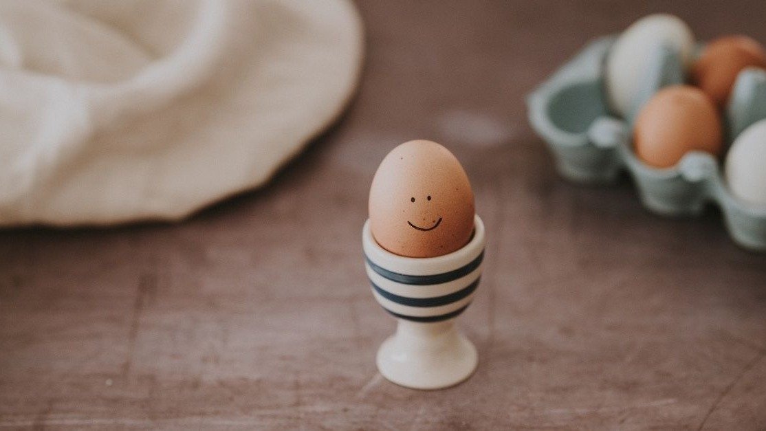 德国超市鸡蛋如何选择？白壳和红壳鸡蛋有什么不同？一篇文章教你看懂德国鸡蛋身份证