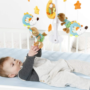 Fehn 宝宝玩乐合集 收安抚玩具、爬垫、座椅、围栏床等